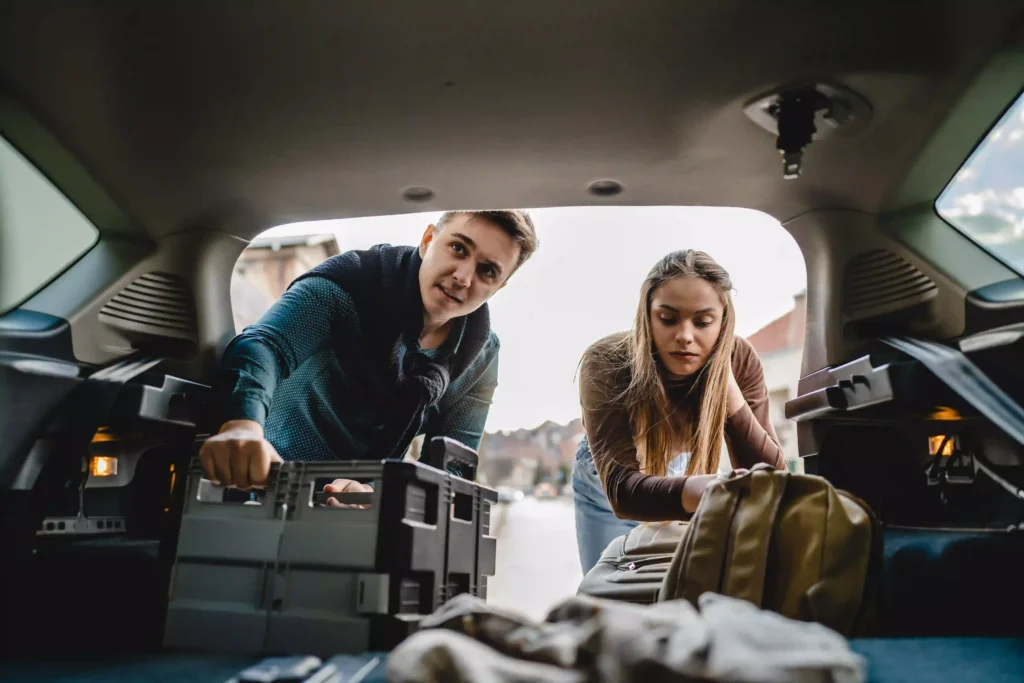 backseat organizer with tray