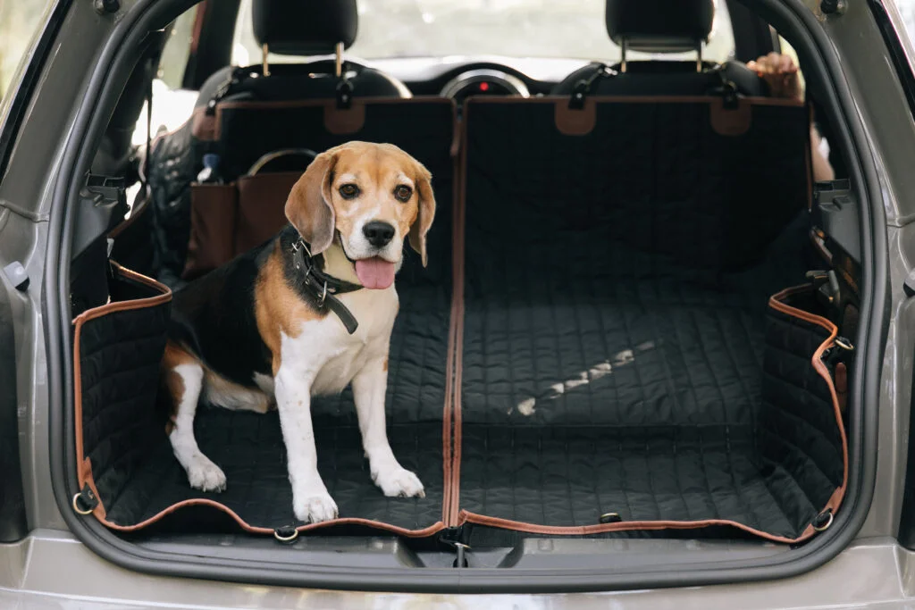 4runner dog seat cover