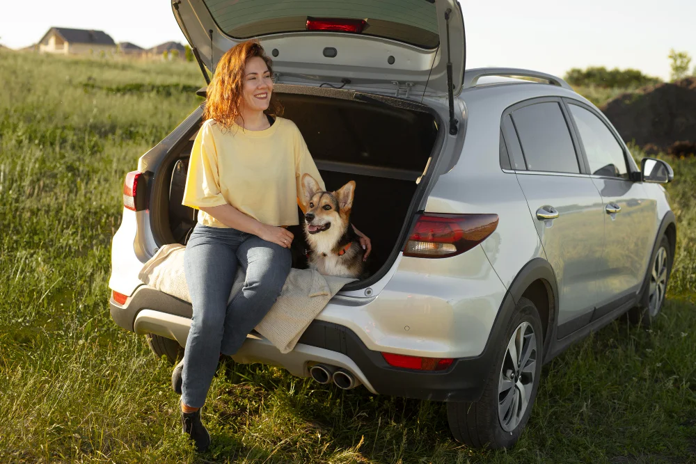 corgi car seat