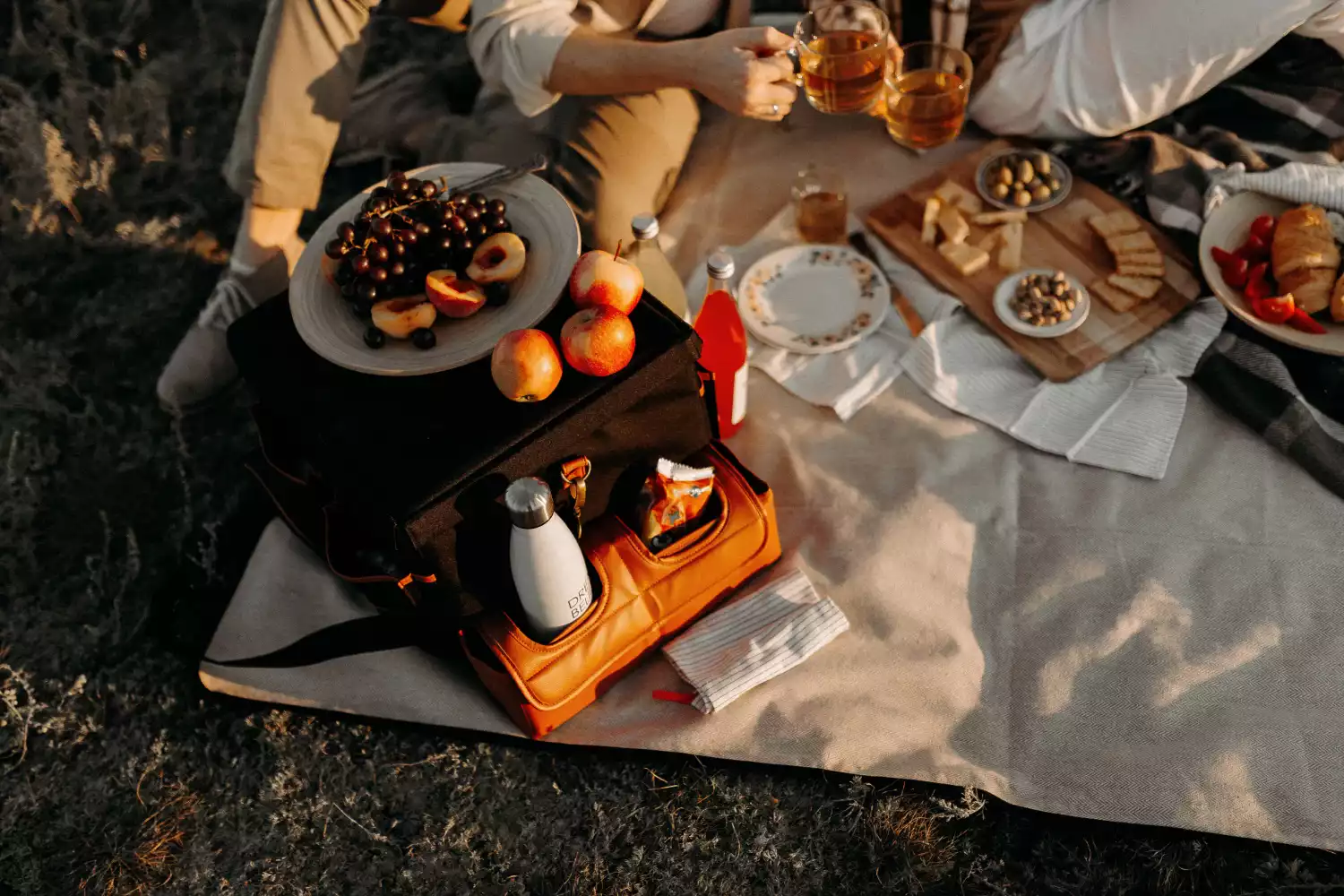 Toyota Tacoma organizer for road trip