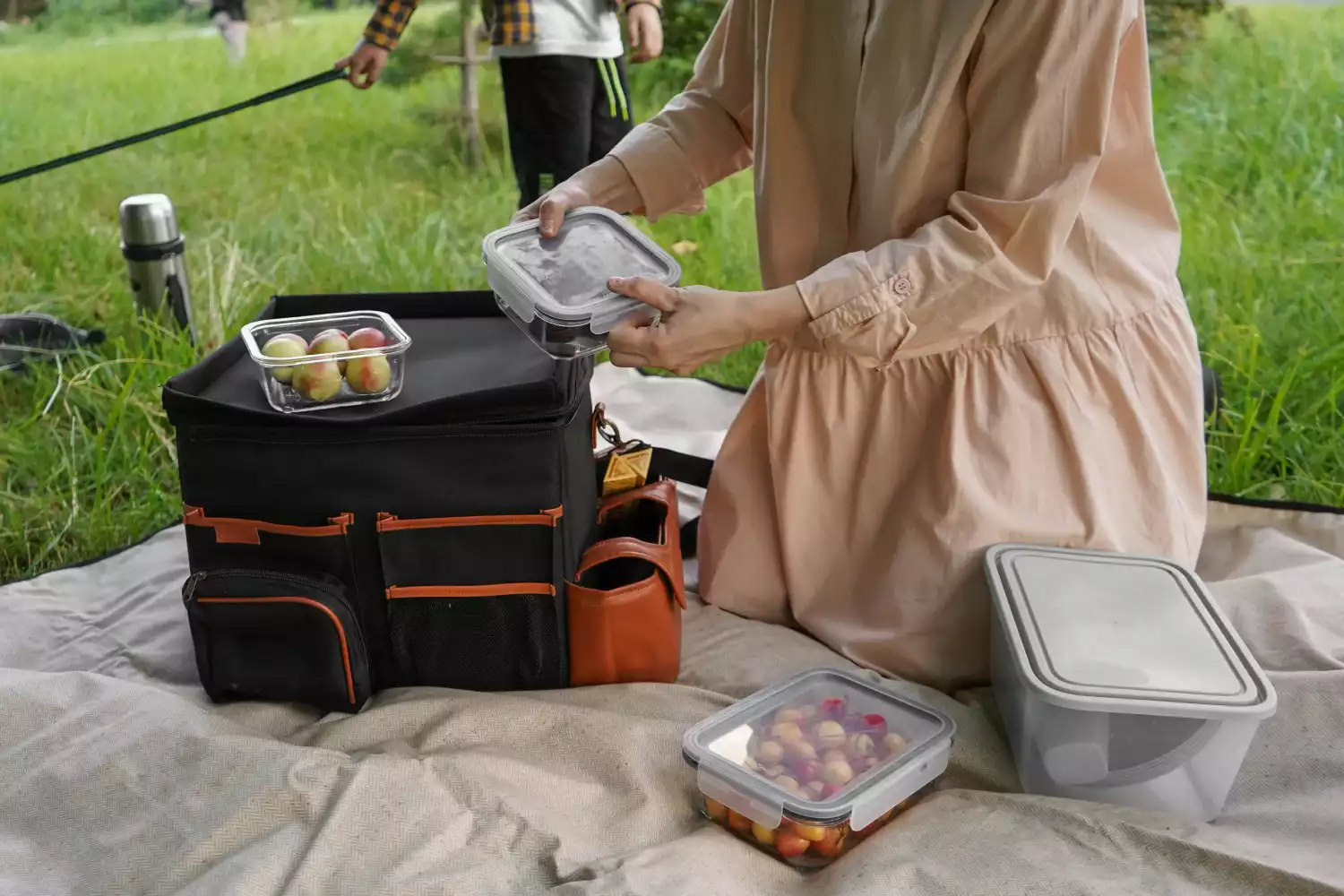 Toyota Tacoma organizer for road trip