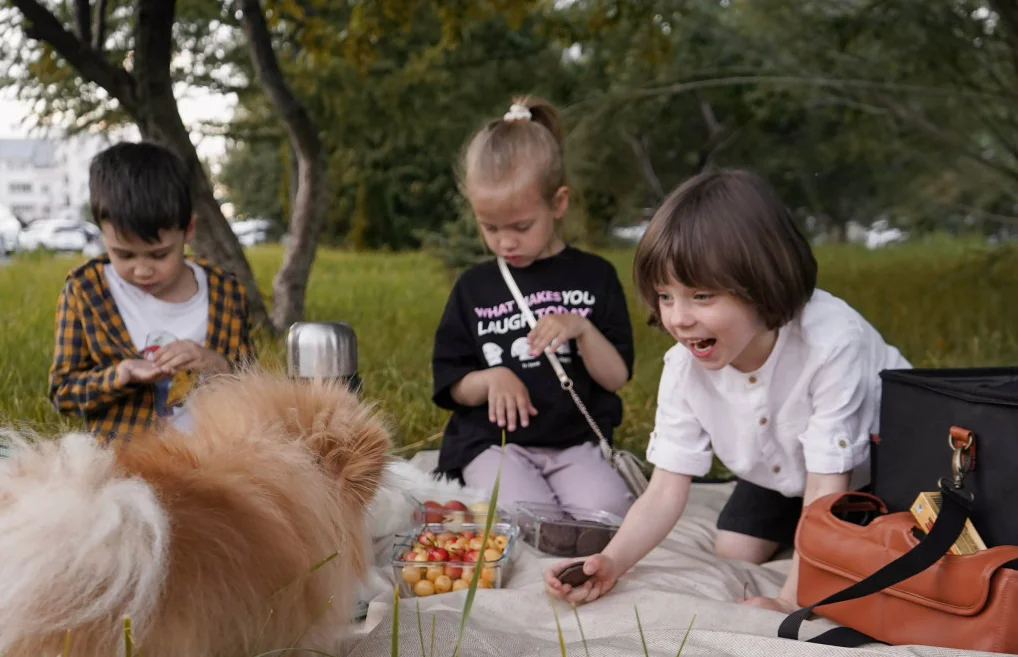 best waterproof picnic blanket