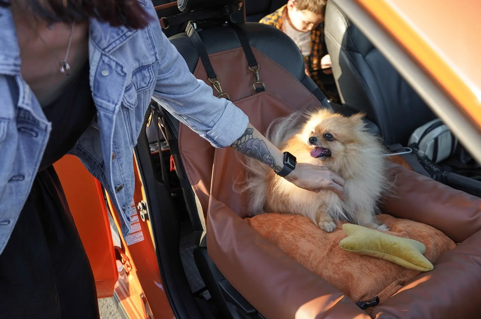 Chevrolet Malibu Dog Car Seat for Japanese Chin